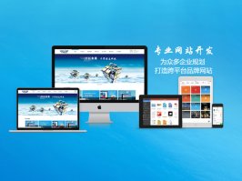 公司用模板网站建设是不