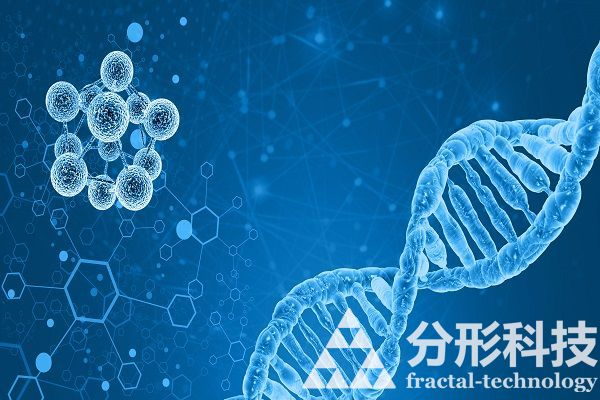 医院网站制作：塑造医院与病人的无缝连接